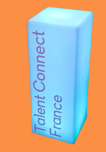 location-colonne-lumineuse-LED-100cm-lyon-rhone