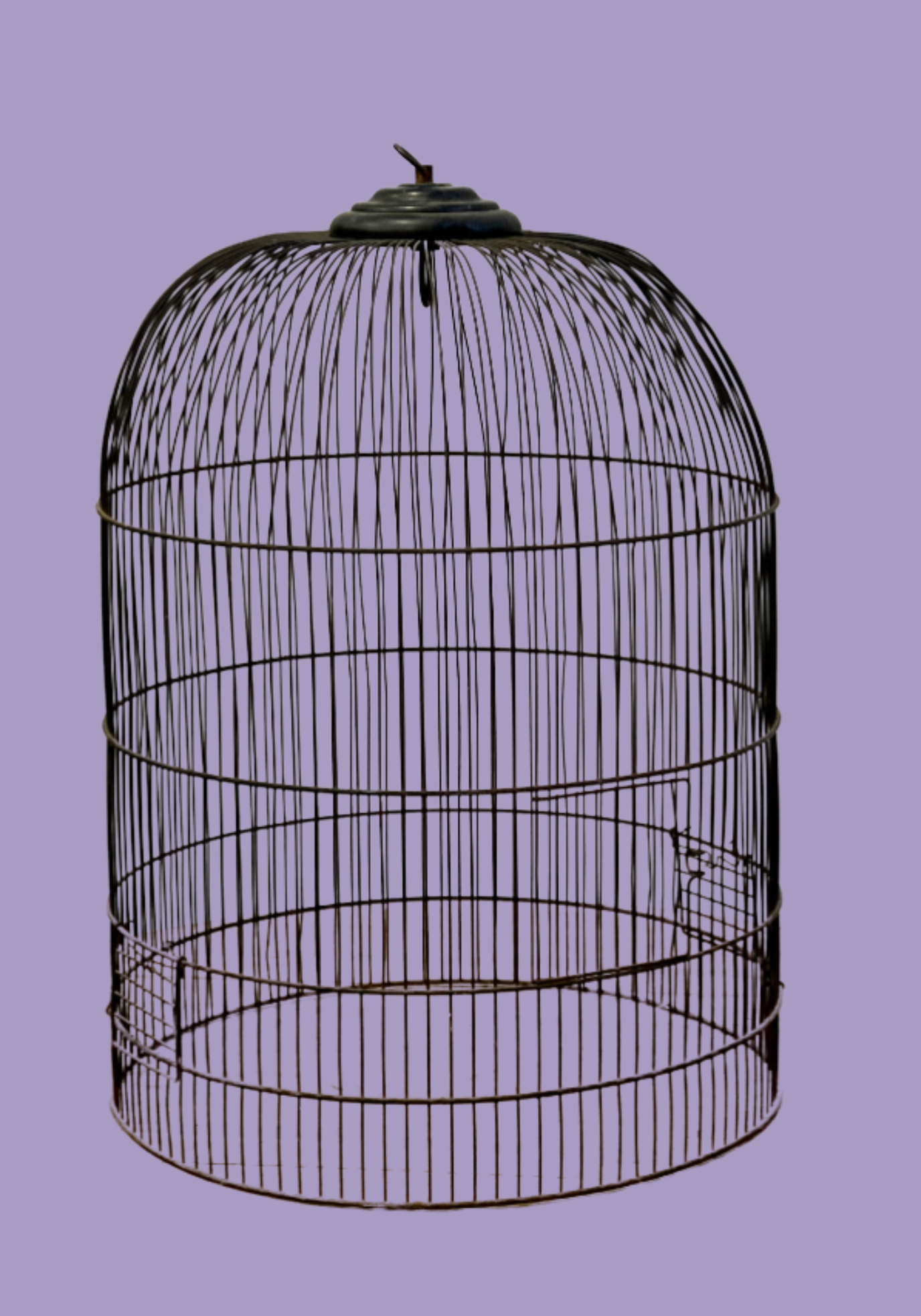 location-cage-oiseau-ancienne