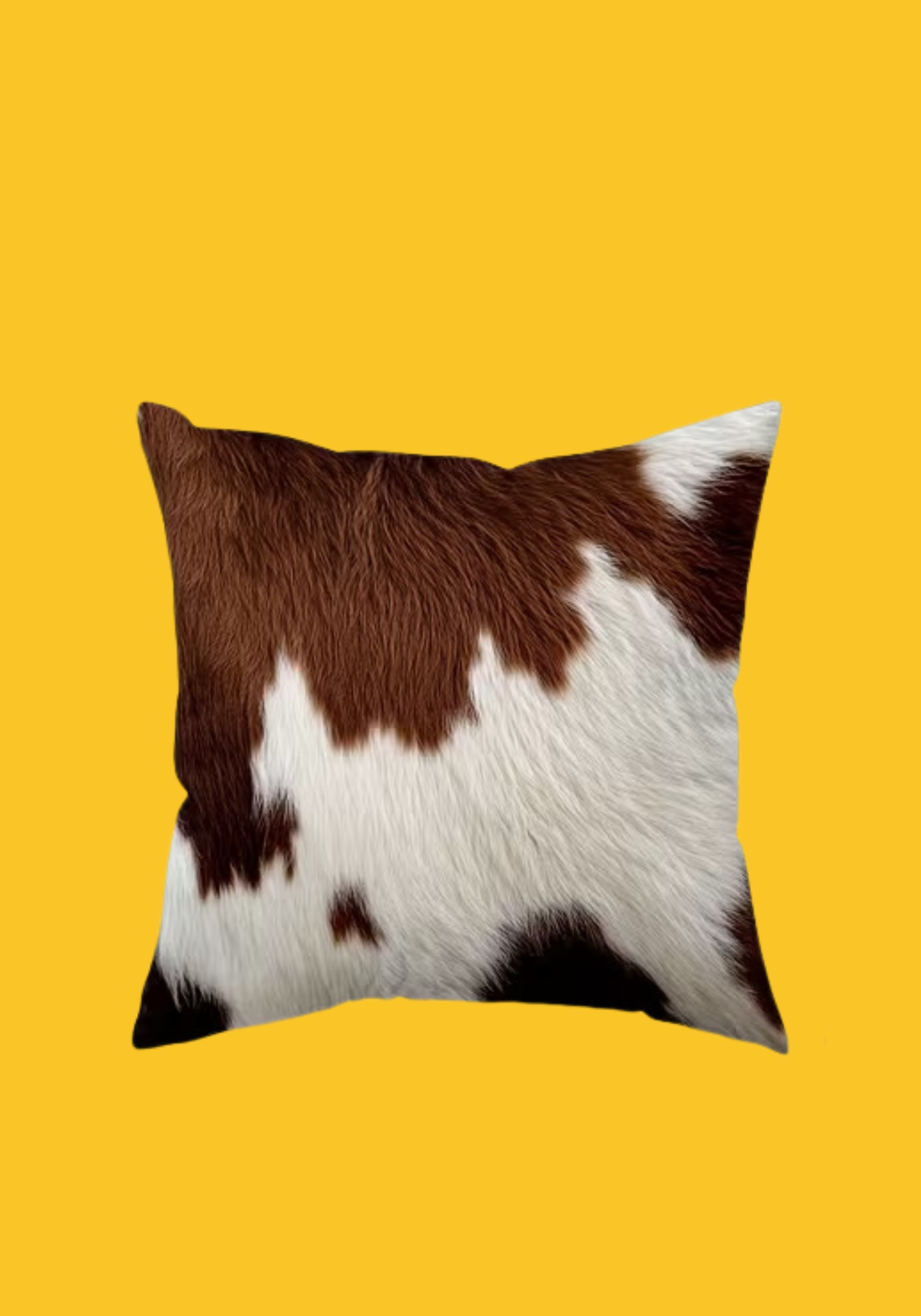 Coussins en peau, lot de 4