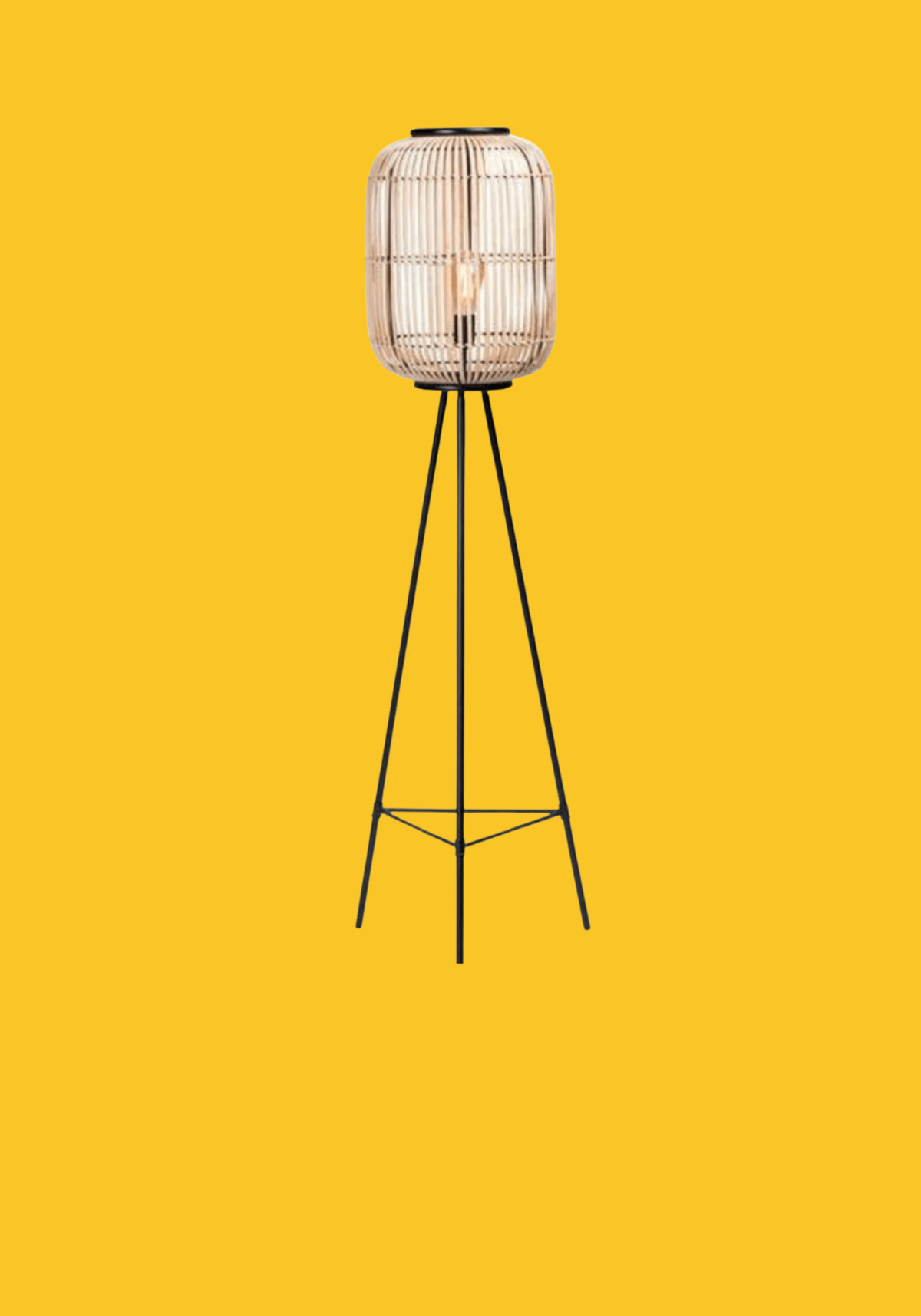 location-lampe-rotin-lyon