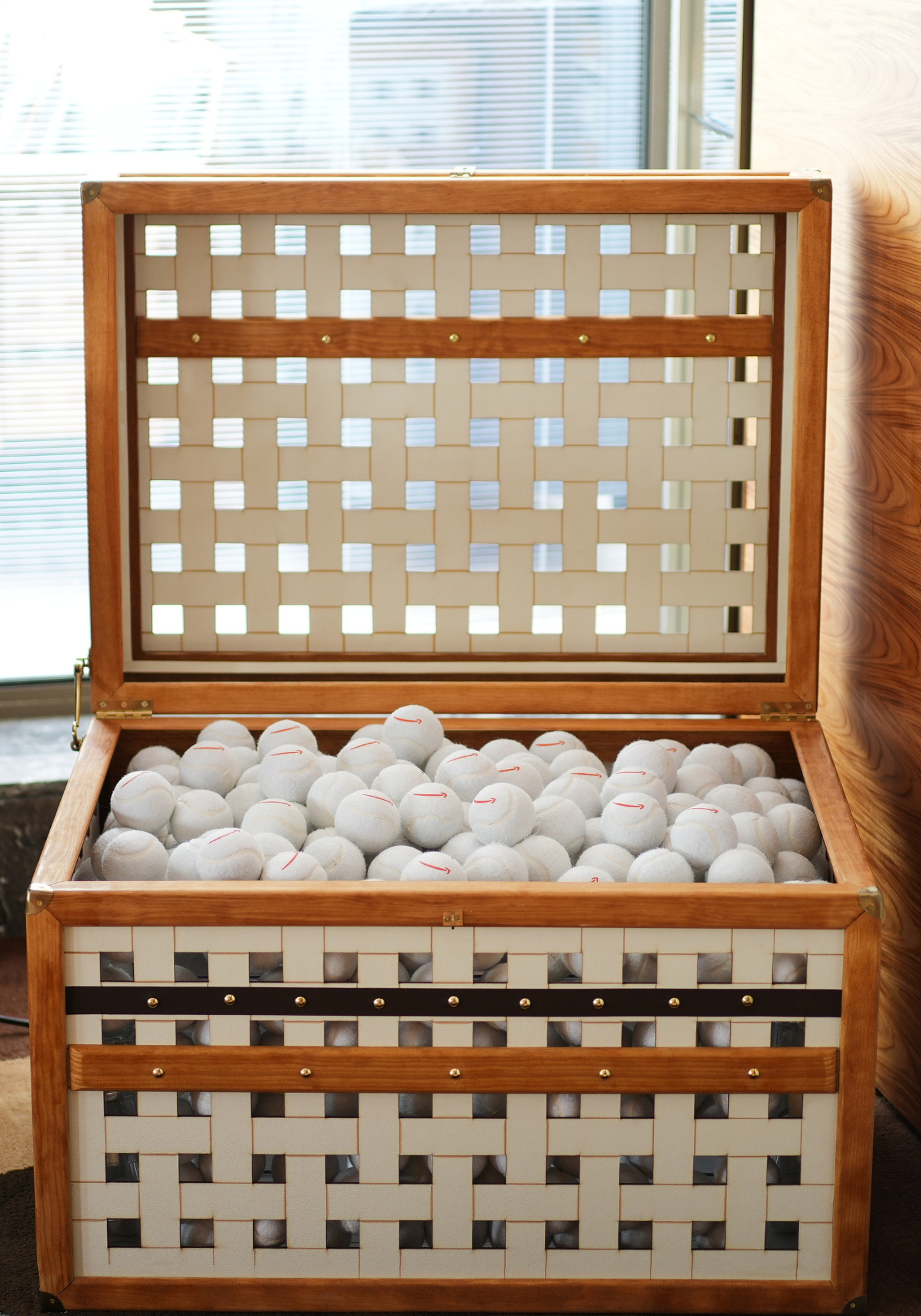 Malle remplie de balles de tennis