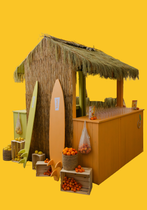 location-pack-bar-de-plage-paillotte-lyon-1