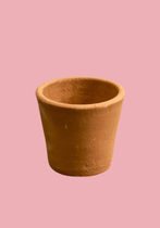location-pot-en-terre-lyon