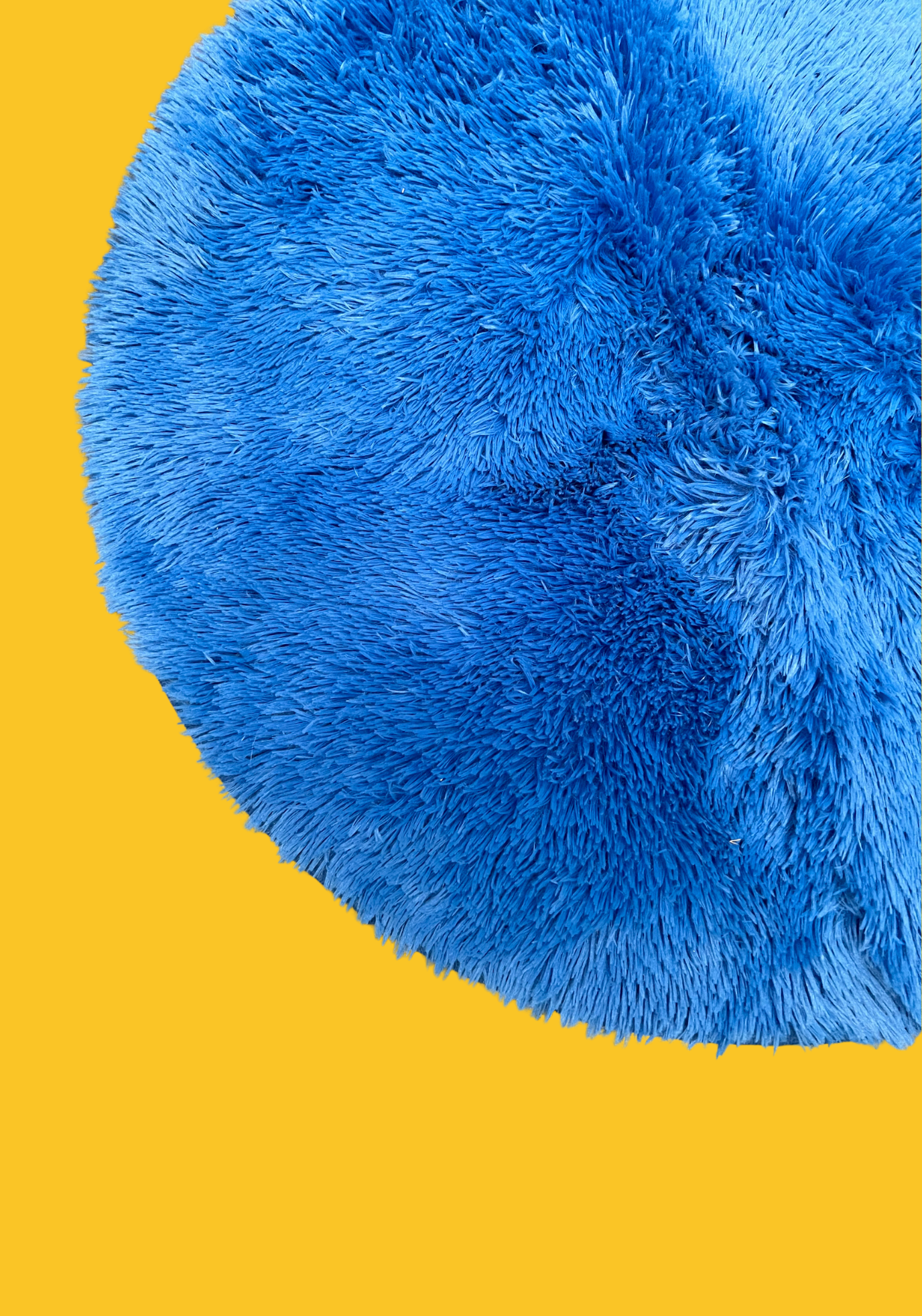 Tapis bleu rond